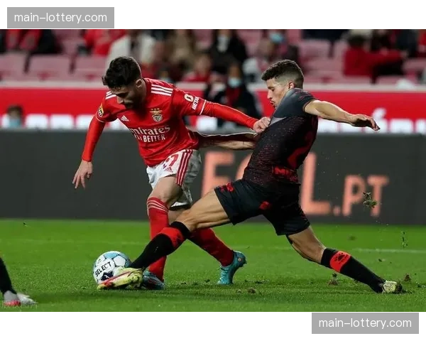 本菲卡主场连续十一场不败 场均2.3球失0.7球攻防运转流畅